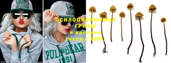 гашиш Лабытнанги