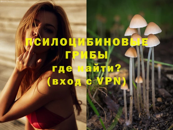 apvp Сосновоборск