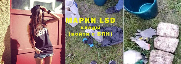 PSILOCYBIN Сосновый Бор
