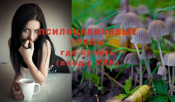 гашишное масло Ладушкин