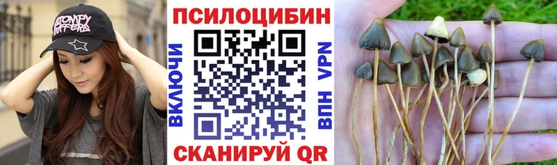 Галлюциногенные грибы ЛСД  Звенигово 